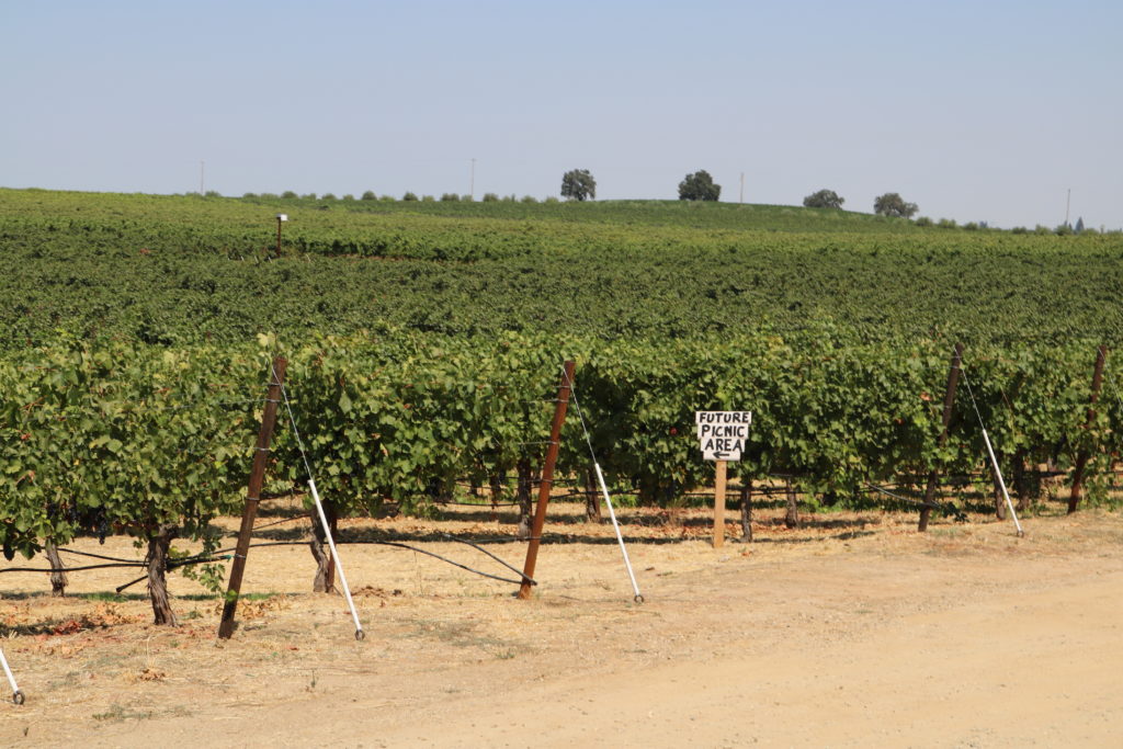 bokisch-lodi-vineyards